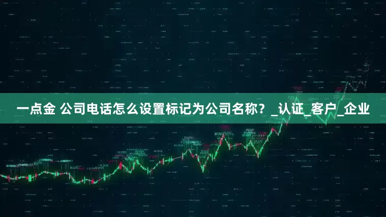 一点金 公司电话怎么设置标记为公司名称？_认证_客户_企业