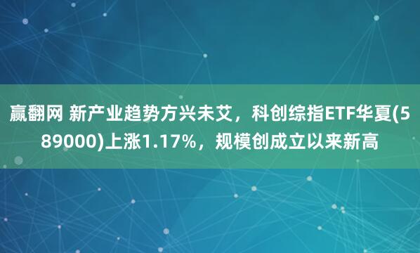 赢翻网 新产业趋势方兴未艾，科创综指ETF华夏(589000)上涨1.17%，规模创成立以来新高
