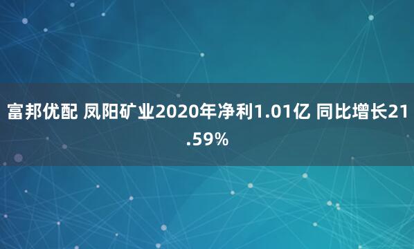 富邦优配 凤阳矿业2020年净利1.01亿 同比增长21.59%