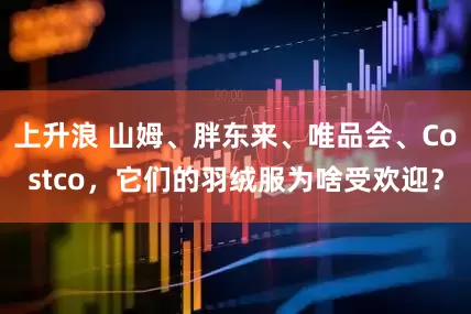上升浪 山姆、胖东来、唯品会、Costco，它们的羽绒服为啥受欢迎？