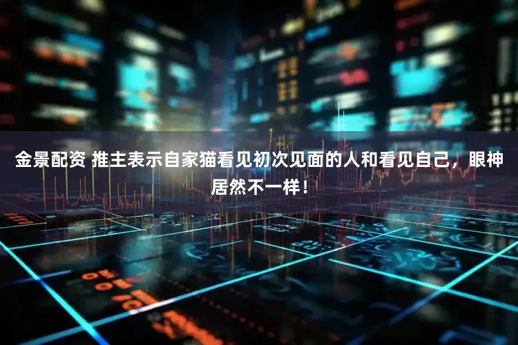 金景配资 推主表示自家猫看见初次见面的人和看见自己，眼神居然不一样！